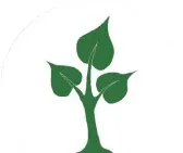 The Bodhi tree at Bodhgaya, the symbol behind the Bodhgaya Development Association.